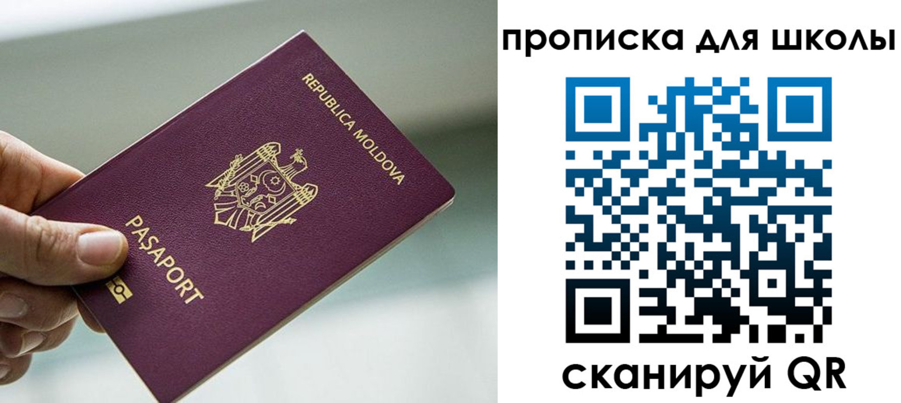 прописка в квартире в Всеволожске